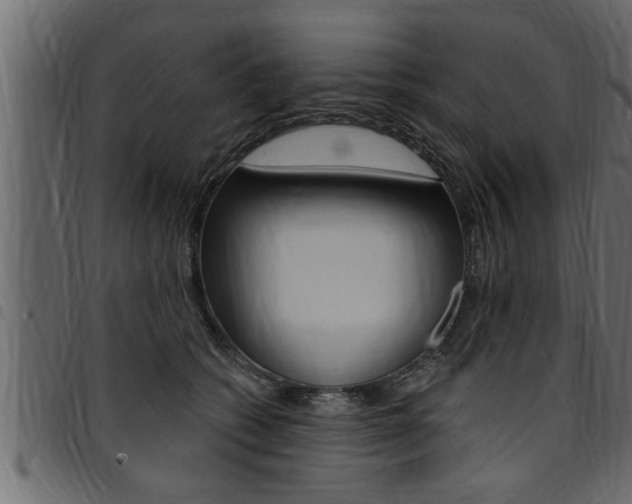 X0000094920562200711291025