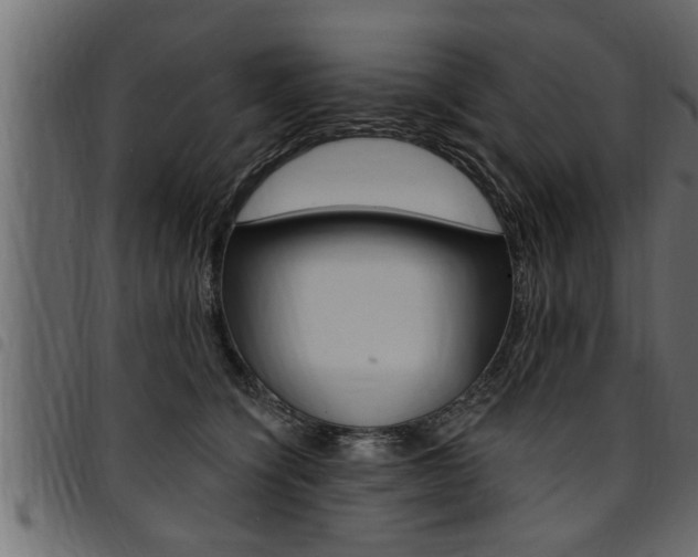 X0000094920564200711291025