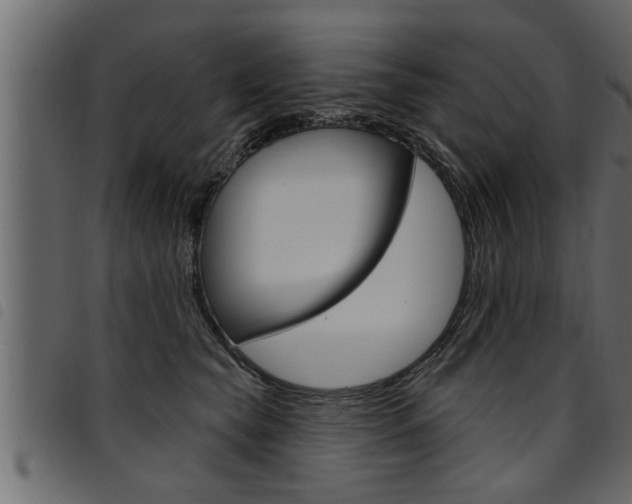 X0000094920565200711291025