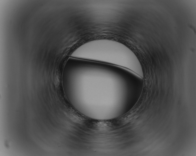 X0000094920566200711291025