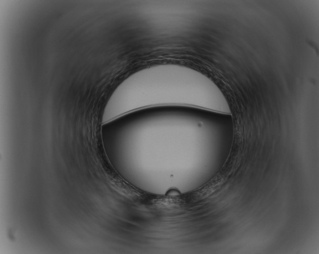 X0000094920567200711291025
