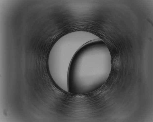 X0000094920570200711291025