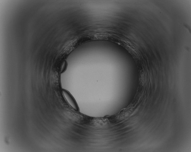 X0000094920571200711291025