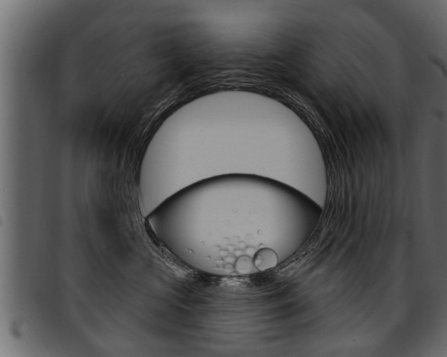 X0000094920573200711291025