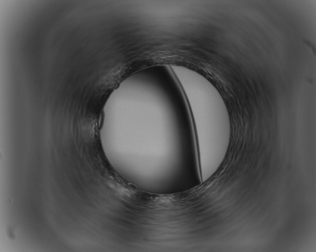 X0000094920574200711291025