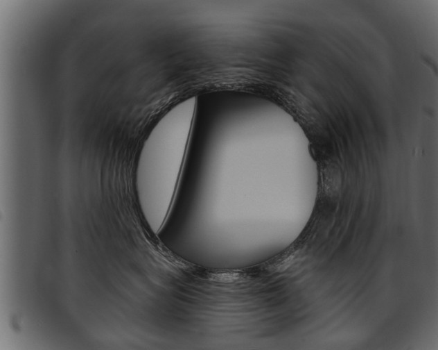 X0000094920575200711291025