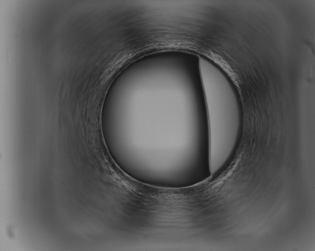 X0000094920577200711291024