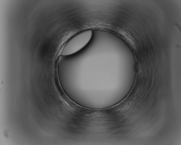 X0000094920578200711291024