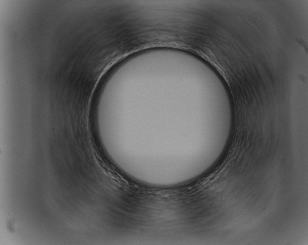 X0000094920579200711291024