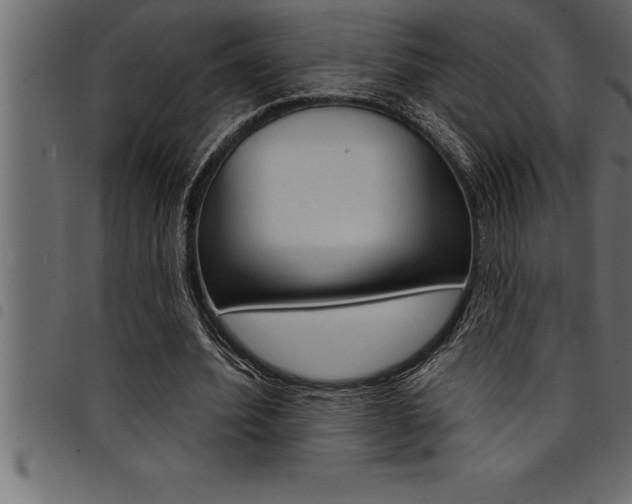 X0000094920580200711291024