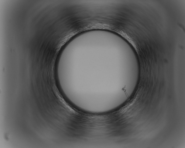 X0000094920581200711291024