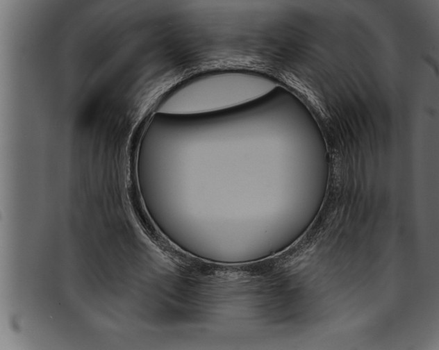 X0000094920582200711291024