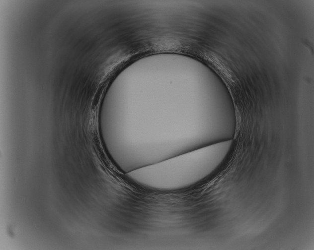 X0000094920583200711291024
