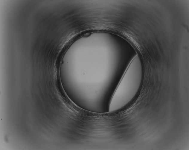 X0000094920584200711291024