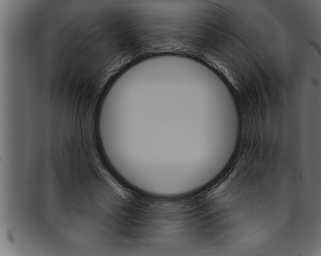 X0000094920589200711291024