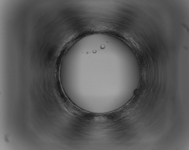 X0000094920591200711291024