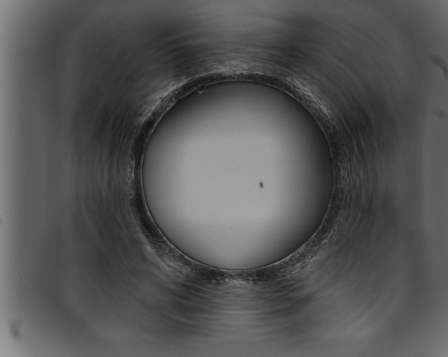 X0000094920592200711291024
