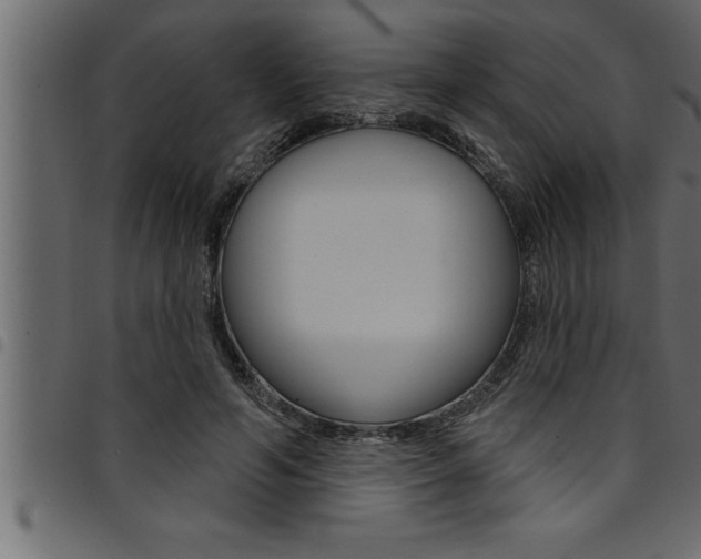 X0000094920594200711291024