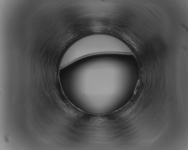 X0000094920597200711291024