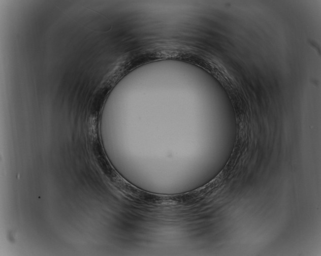 X0000094920598200711291024