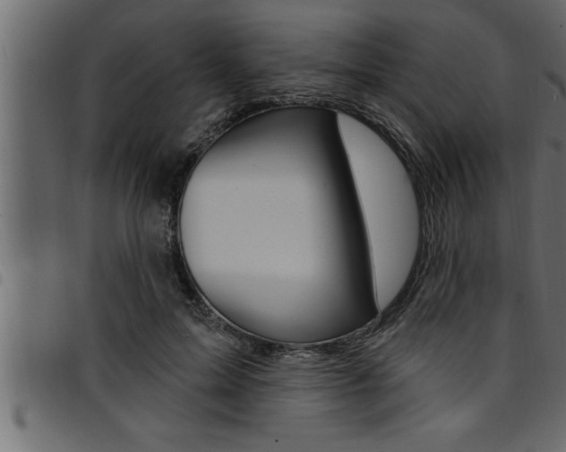 X0000094920599200711291024