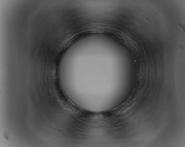 X0000094920600200711291024