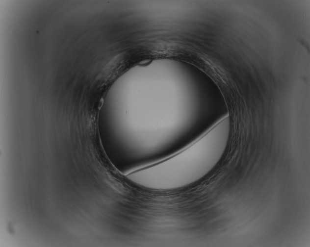 X0000094920601200711291024