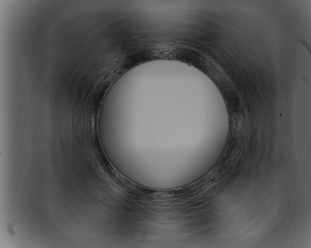 X0000094920602200711291024
