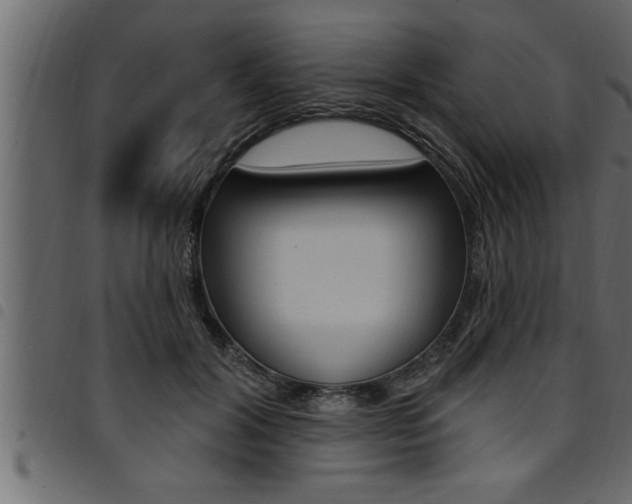 X0000094920604200711291024