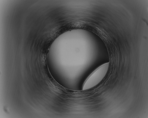 X0000094920605200711291024