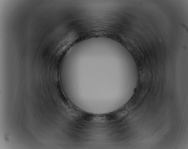 X0000094920606200711291024