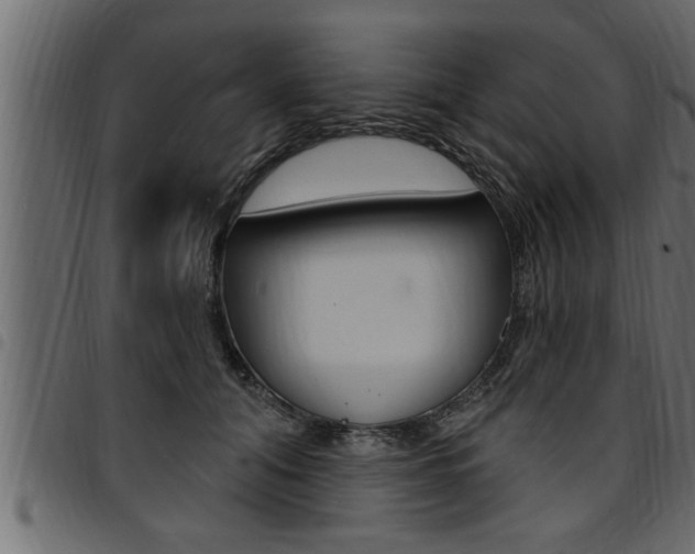 X0000094920608200711291024
