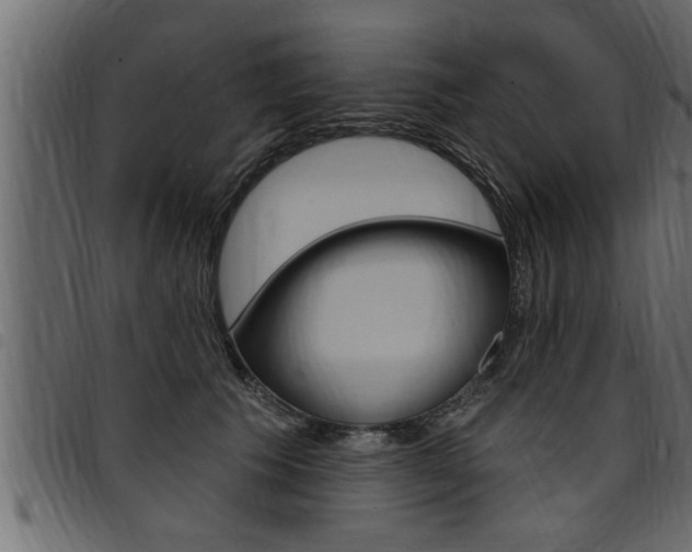 X0000094920609200711291024