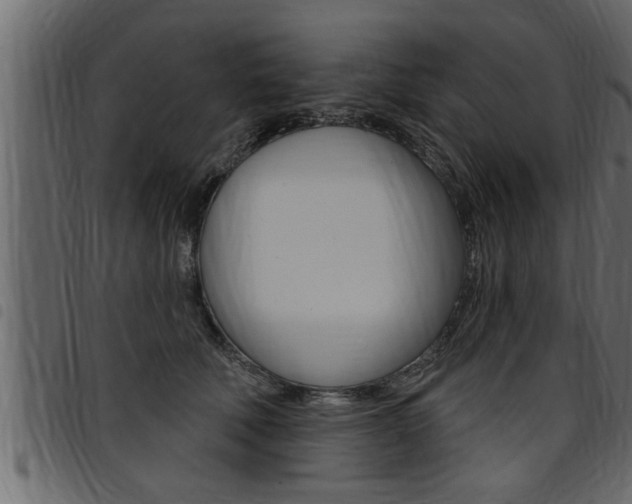 X0000094920610200711291024