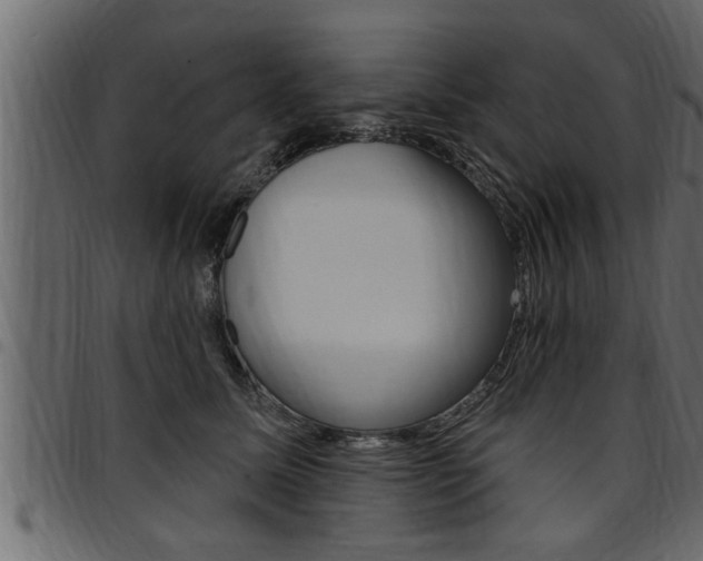 X0000094920611200711291024
