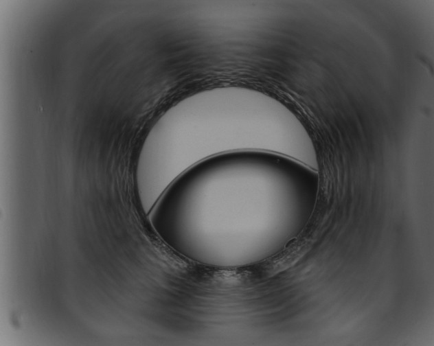 X0000094920613200711291024