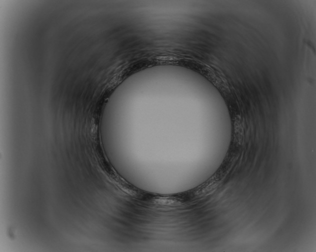 X0000094920614200711291024