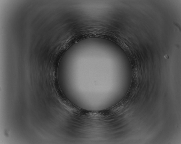 X0000094920615200711291024