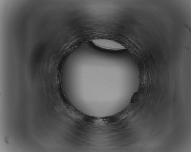 X0000094920616200711291024