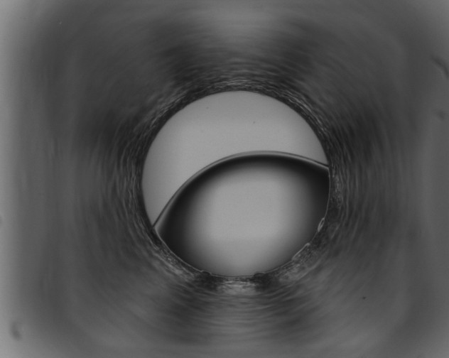 X0000094920617200711291024