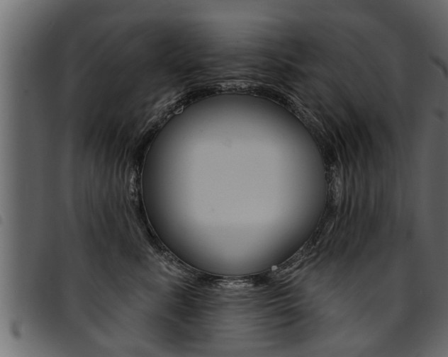 X0000094920619200711291024