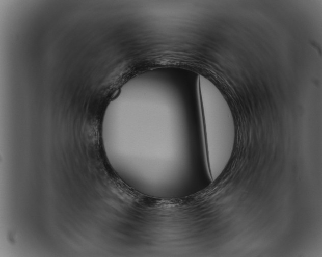 X0000094920620200711291024