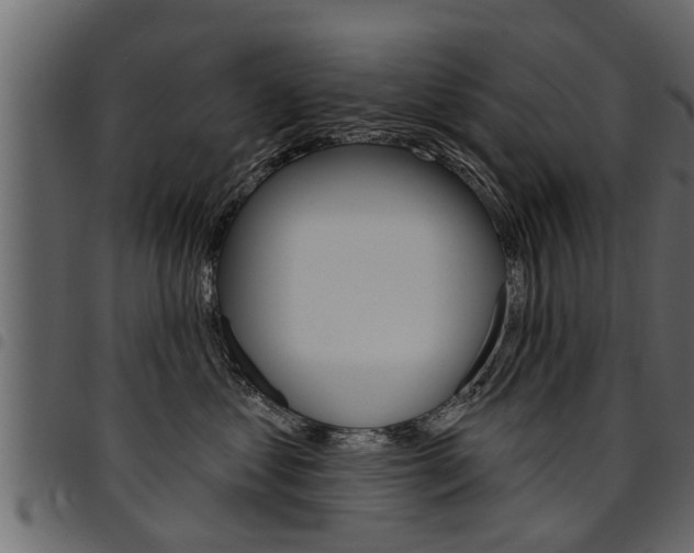 X0000094920621200711291024