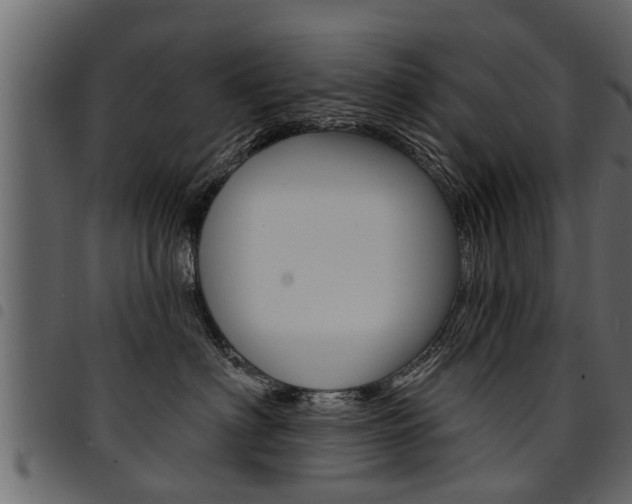 X0000094920622200711291024