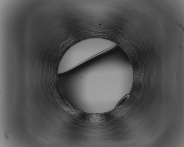 X0000094920623200711291024