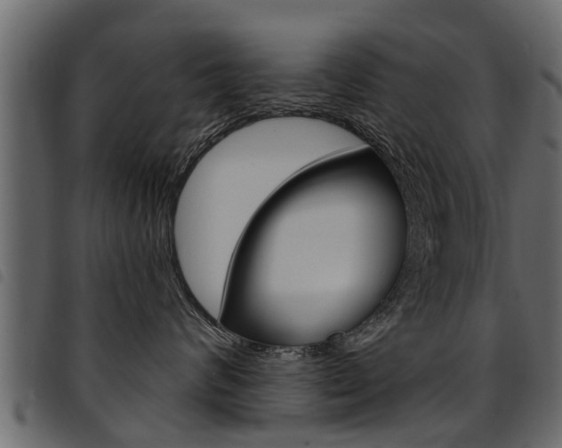 X0000094920624200711291024