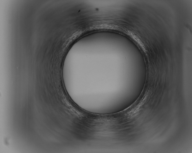 X0000094920625200711291023