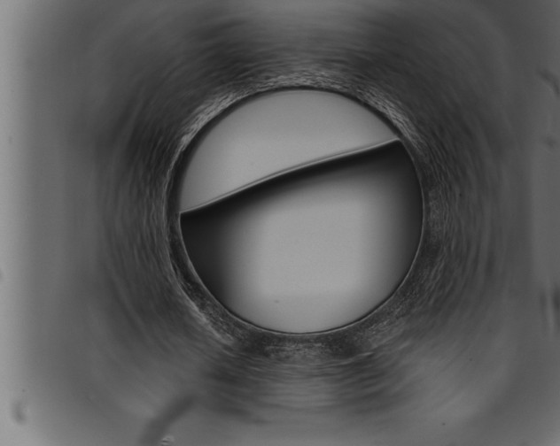 X0000094920626200711291023