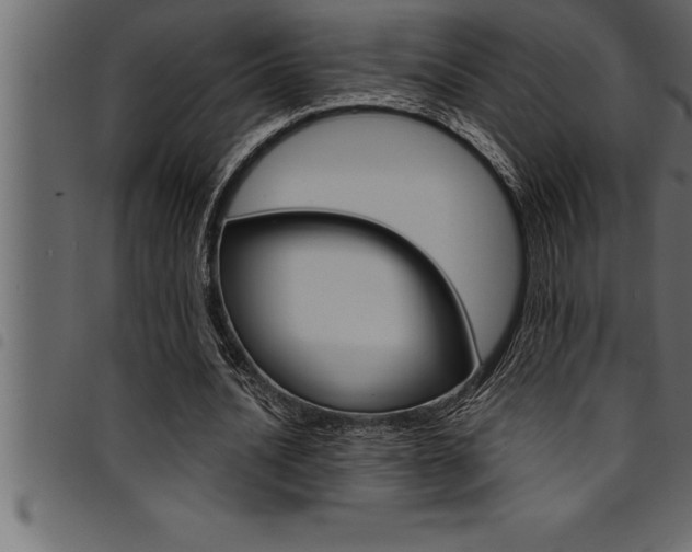 X0000094920628200711291023