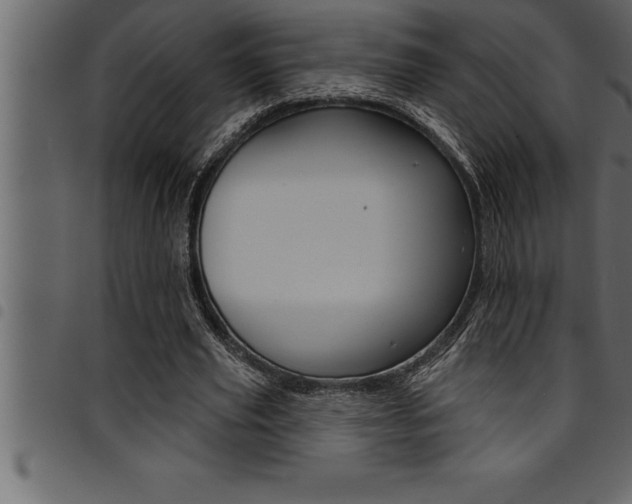 X0000094920629200711291023